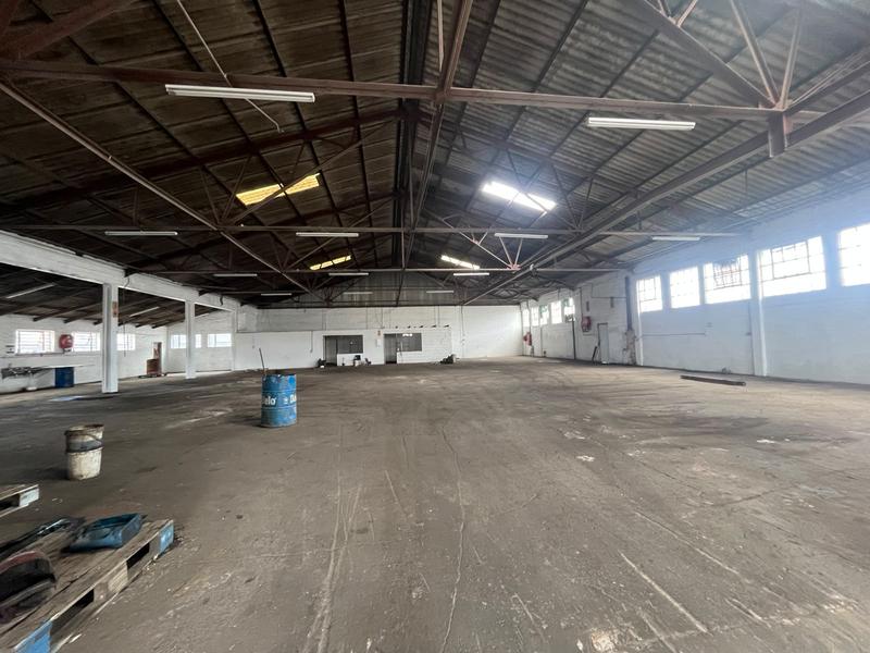 To Let Commercial Property for Rent in Deal Party Eastern Cape